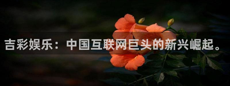 先锋娱乐平台：吉彩娱乐：中国互联网巨头的新兴崛起。