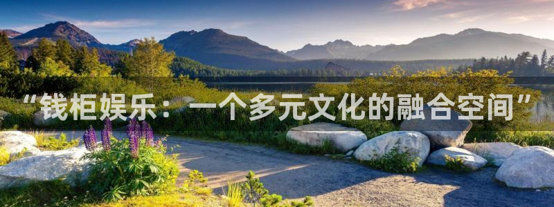 先锋娱乐公司：“钱柜娱乐：一个多元文化的融合空间”