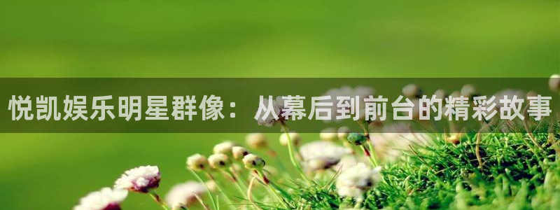 先锋娱乐：悦凯娱乐明星群像：从幕后到前台的精彩故事