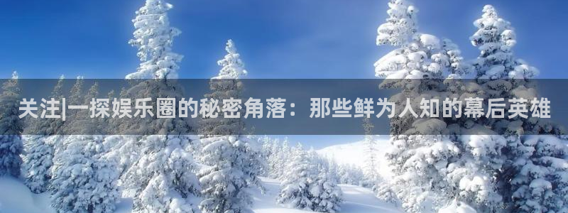 先锋娱乐平台：关注|一探娱乐圈的秘密角落：那些鲜为人知的幕后英雄