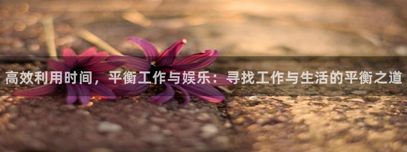 先锋娱乐平台：高效利用时间，平衡工作与娱乐：寻找工作与生活的平衡之道