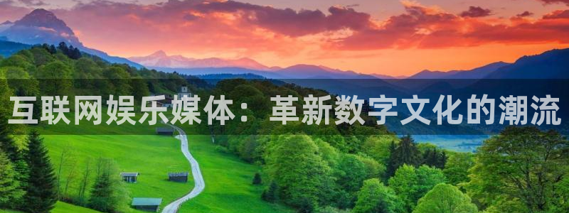 先锋娱乐公司：互联网娱乐媒体：革新数字文化的潮流