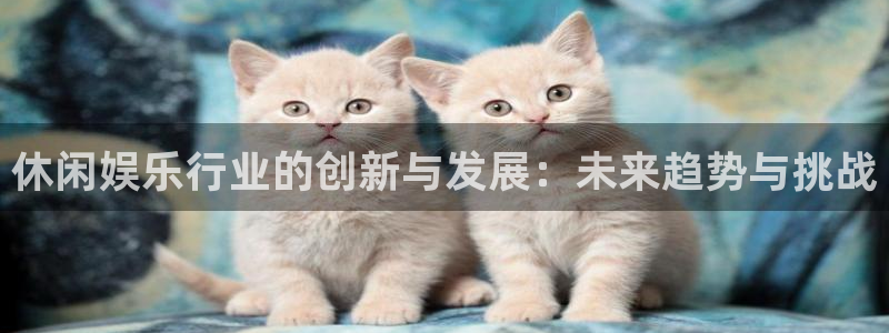先锋娱乐公司：休闲娱乐行业的创新与发展：未来趋势与挑战