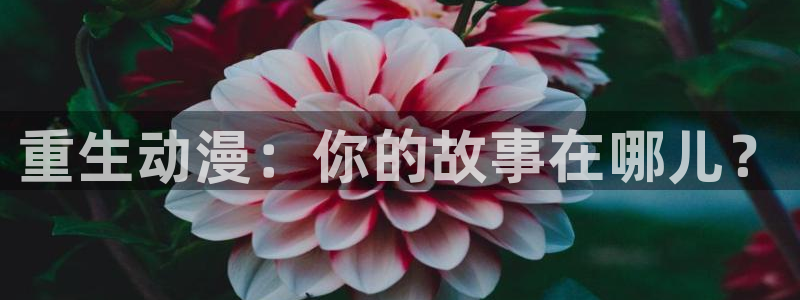 先锋娱乐：重生动漫：你的故事在哪儿？