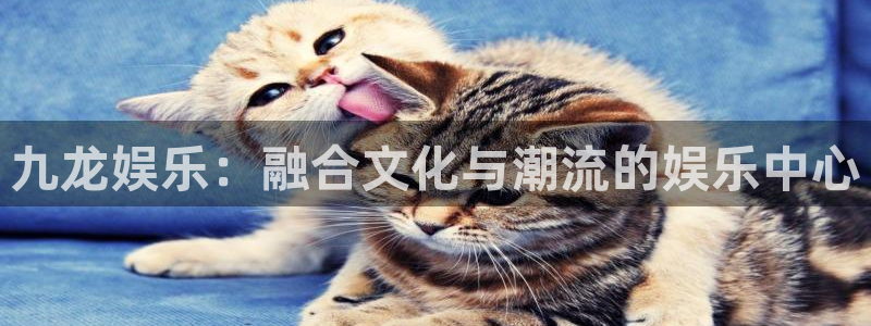 先锋娱乐：九龙娱乐：融合文化与潮流的娱乐中心